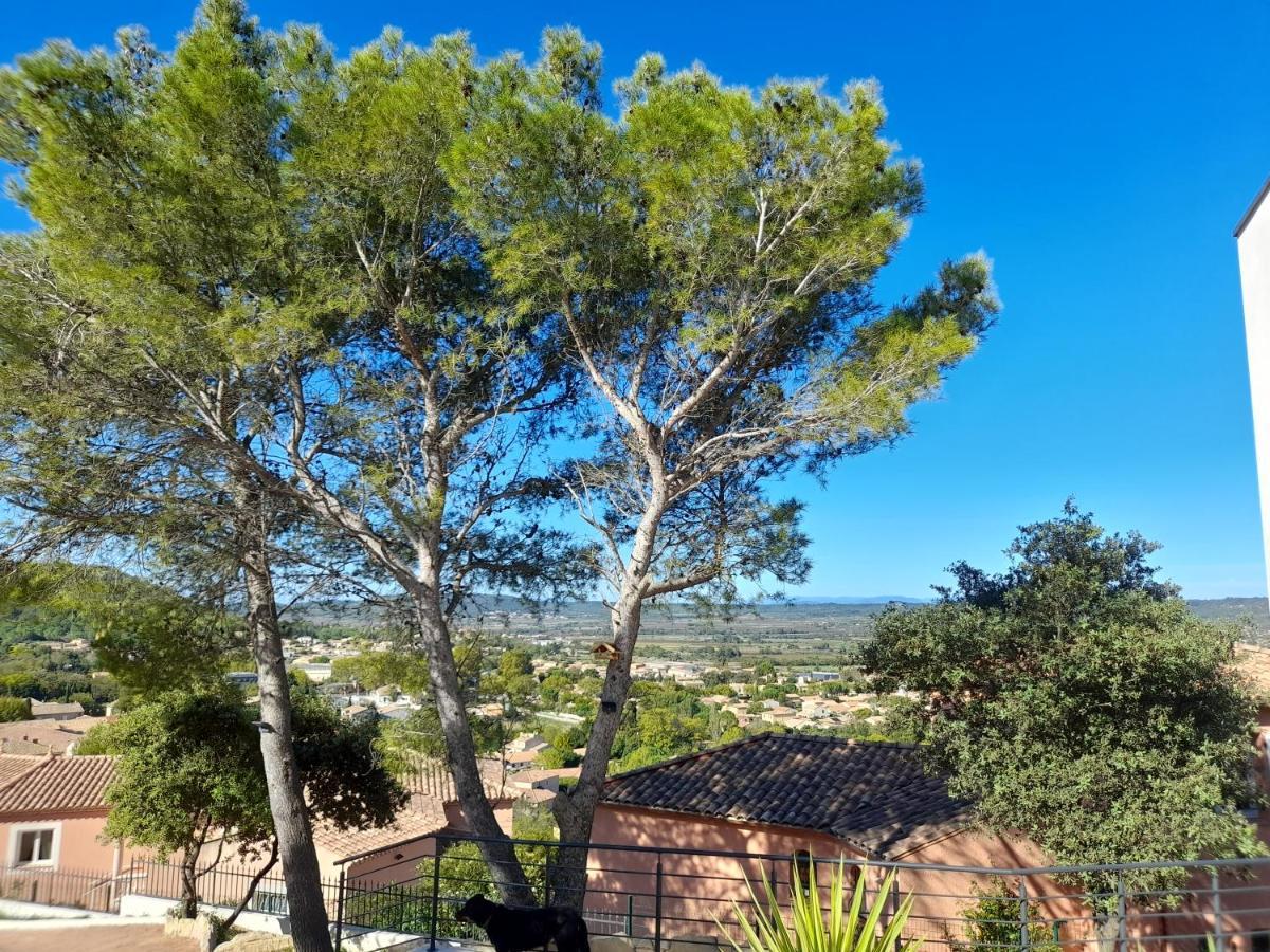 Studio Du Roc Des Garrigues Langlade Esterno foto