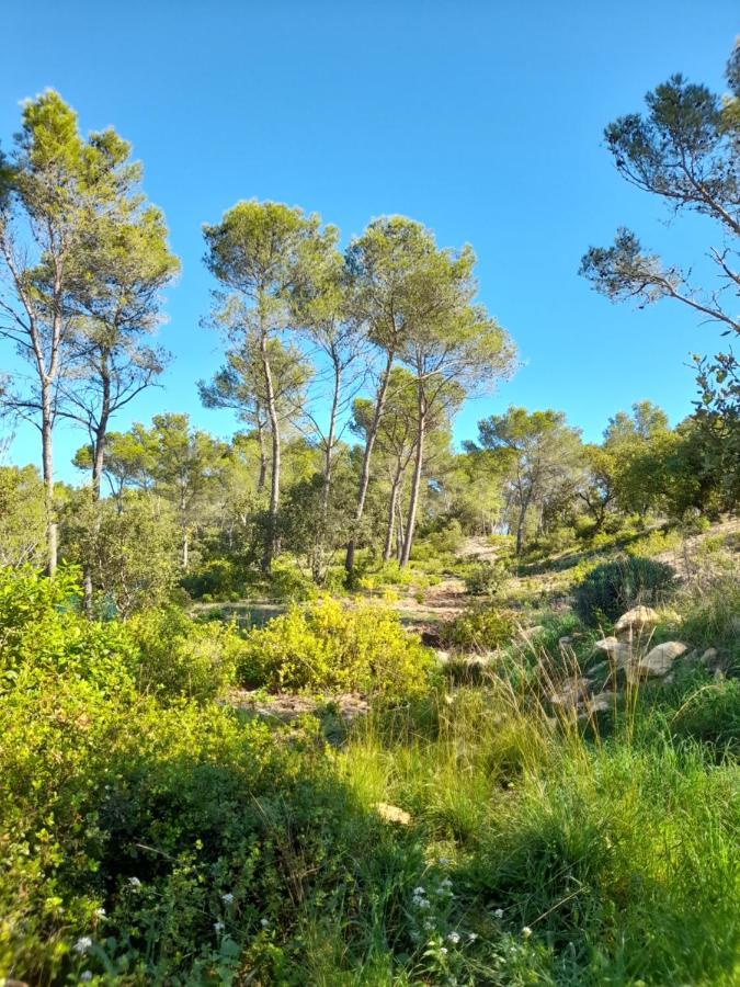 Studio Du Roc Des Garrigues Langlade Esterno foto